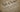 The United Decentralized States of America's Bill of Rights: BITCOIN STANDARD