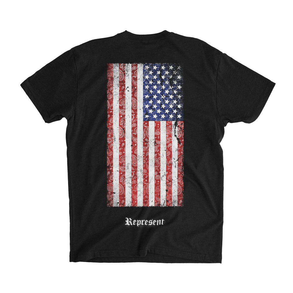[激レア美品]descendents TシャツS black flag ALL USA Flag Paisley Signature Tee [BLACK] LIMITED EDITION