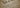 The United Decentralized States of America's Bill of Rights: BITCOIN STANDARD
