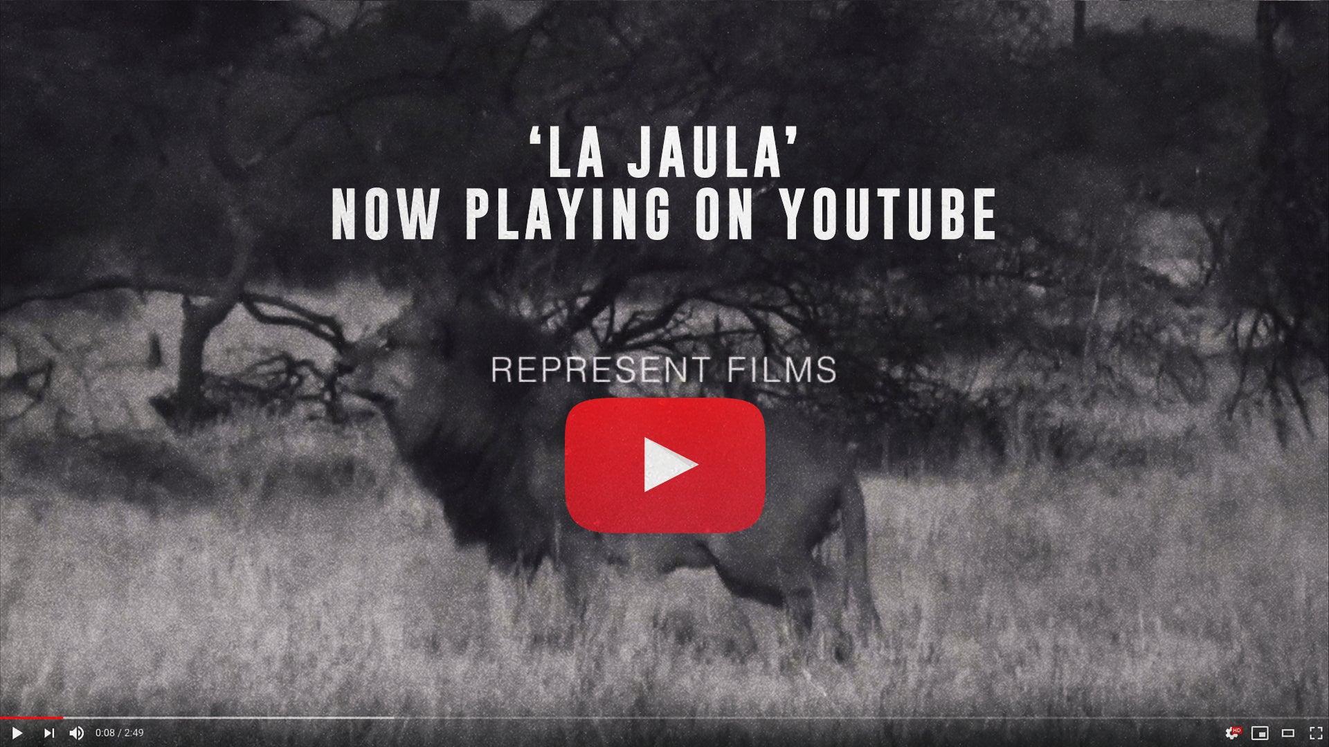 Represent Films 'La Jaula' - Now Playing on YouTube - Represent Ltd.™